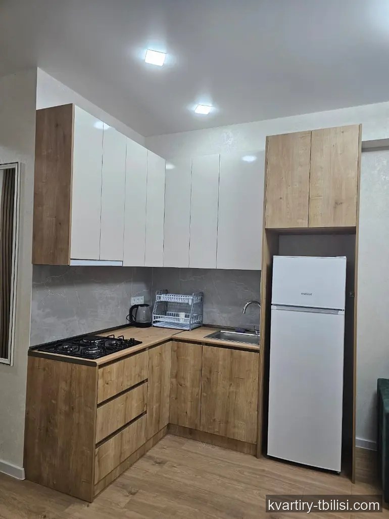 Двухкомнатная квартира в Диди Дигоми — 430 USD/мес | Tbilisi Homes