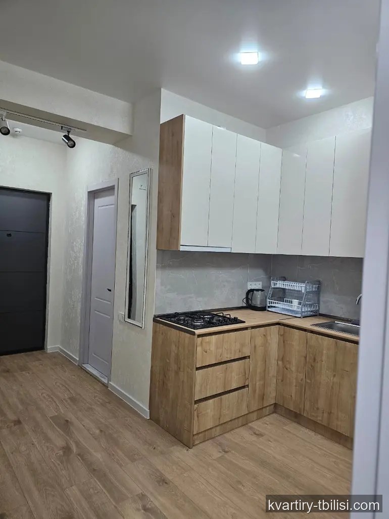 Двухкомнатная квартира в Диди Дигоми — 430 USD/мес | Tbilisi Homes