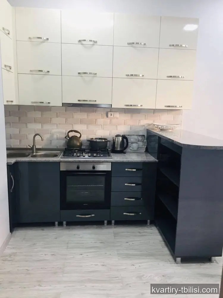 Двухкомнатная квартира в Диди Дигоми — 500 USD/мес | Tbilisi Homes