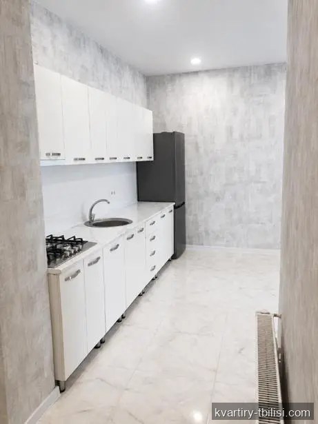 Двухкомнатная квартира в Диди Дигоми — 500 USD/мес | Tbilisi Homes
