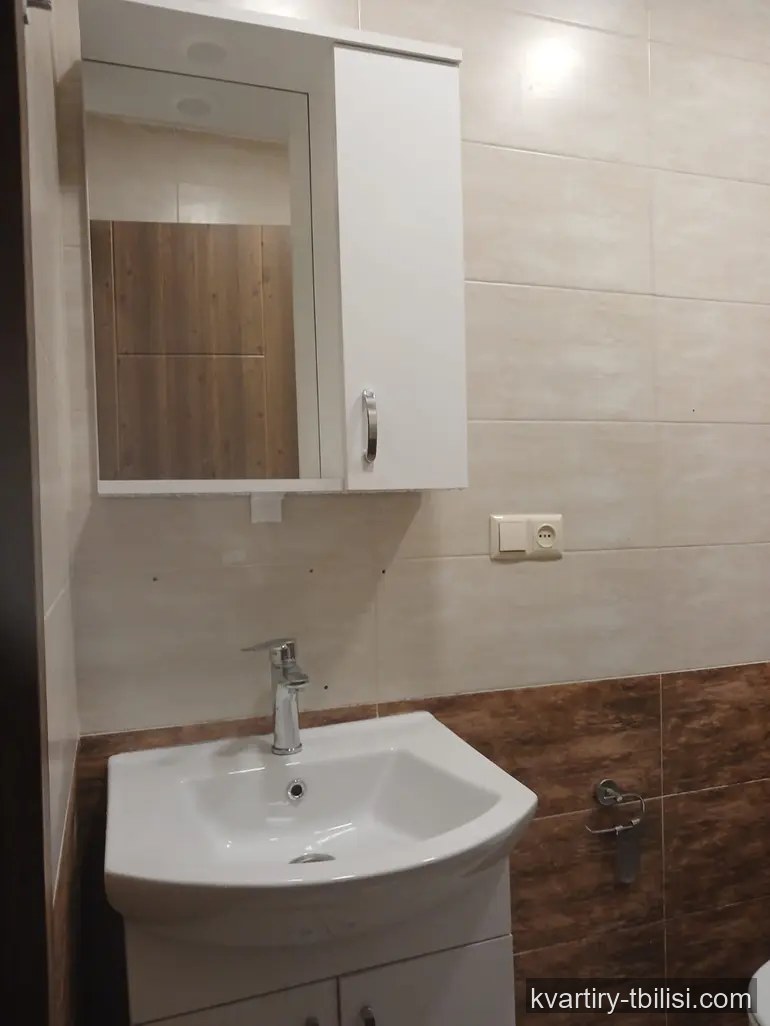 2-bedroom Apartment for rent in Didi Digomi, Tbilisi, 50 sqm, floor 2/9 — 500 USD/month | Tbilisi Homes