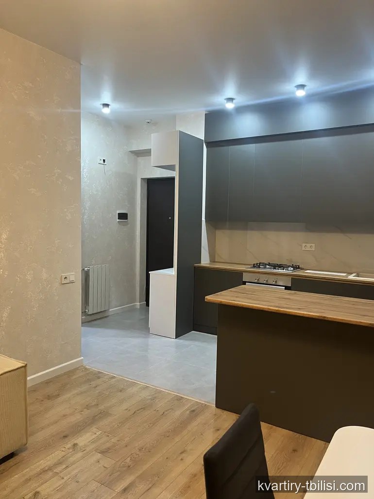 2-bedroom Apartment for rent in Didi Digomi, Tbilisi, 50 sqm, floor 12/20 — 600 USD/month | Tbilisi Homes