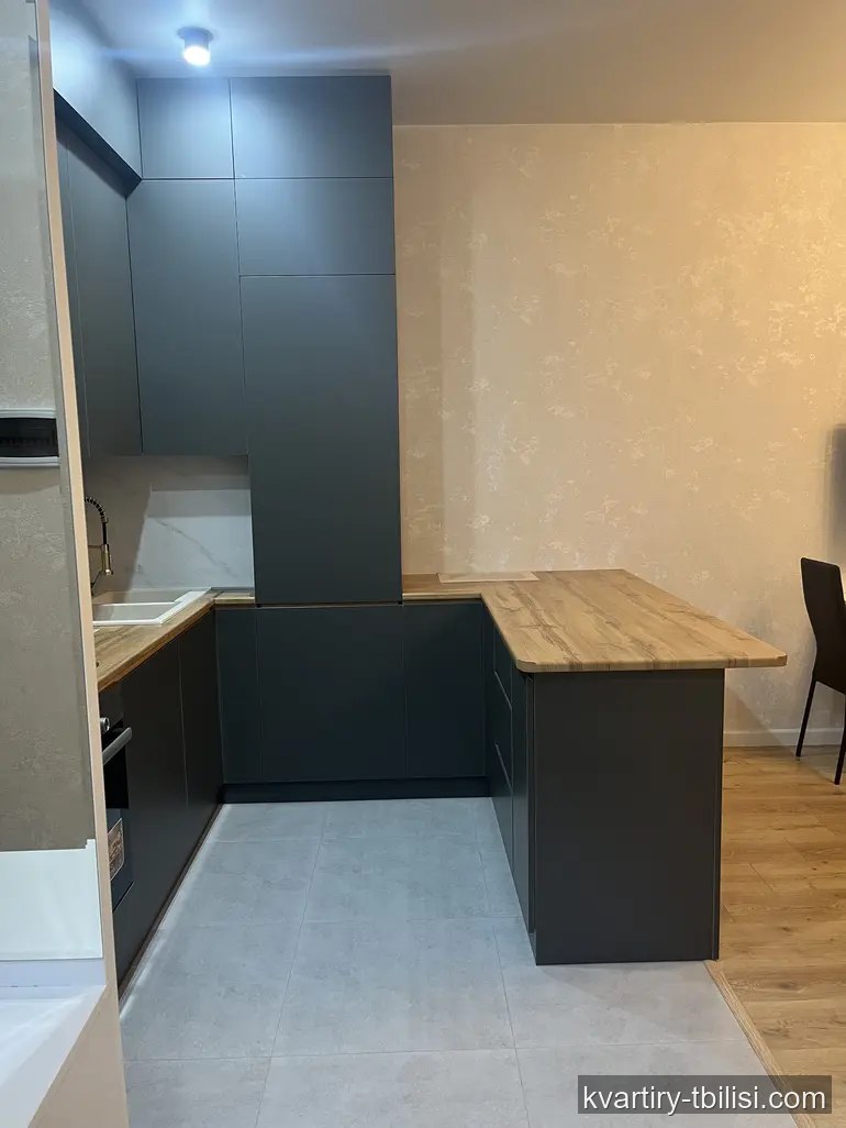 2-bedroom Apartment for rent in Didi Digomi, Tbilisi, 50 sqm, floor 12/20 — 600 USD/month | Tbilisi Homes