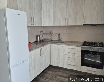 Двухкомнатная квартира в Диди Дигоми — 420 USD/мес | Tbilisi Homes