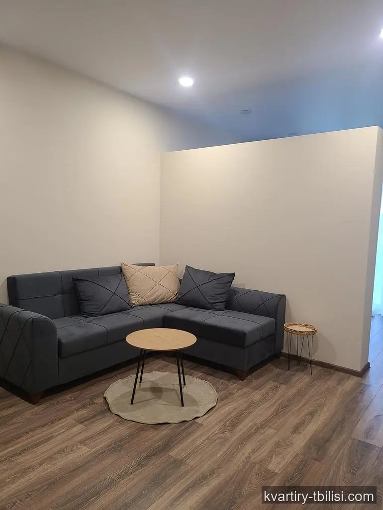 Двухкомнатная квартира в Диди Дигоми — 650 USD/мес | Tbilisi Homes