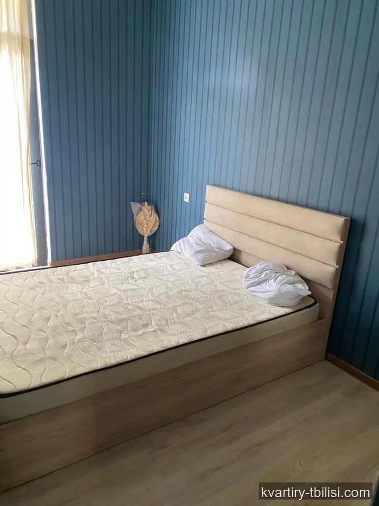 Двухкомнатная квартира в Диди Дигоми — 400 USD/мес | Tbilisi Homes