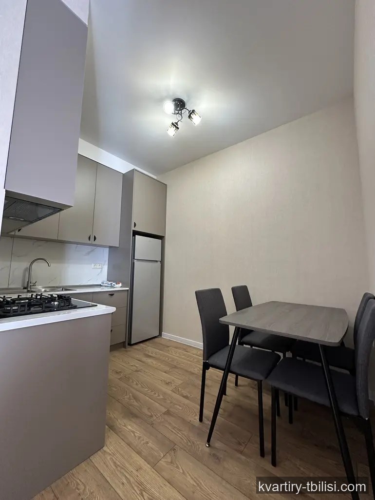 2-bedroom Apartment for rent in Didi Digomi, Tbilisi, 55 sqm, floor 4/11 — 500 USD/month | Tbilisi Homes