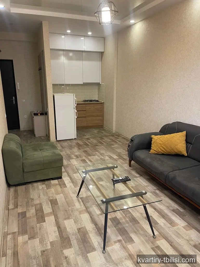 Двухкомнатная квартира в Диди Дигоми — 450 USD/мес | Tbilisi Homes