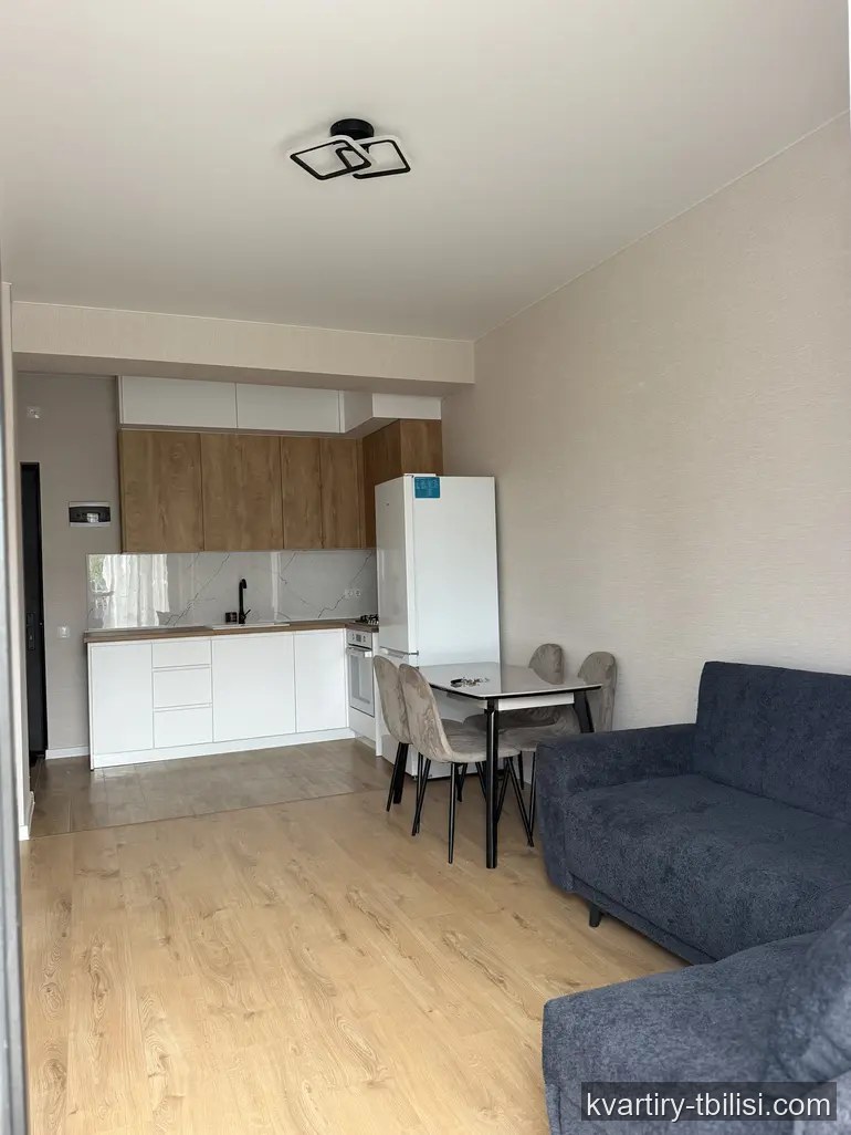 Двухкомнатная квартира в Диди Дигоми — 400 USD/мес | Tbilisi Homes