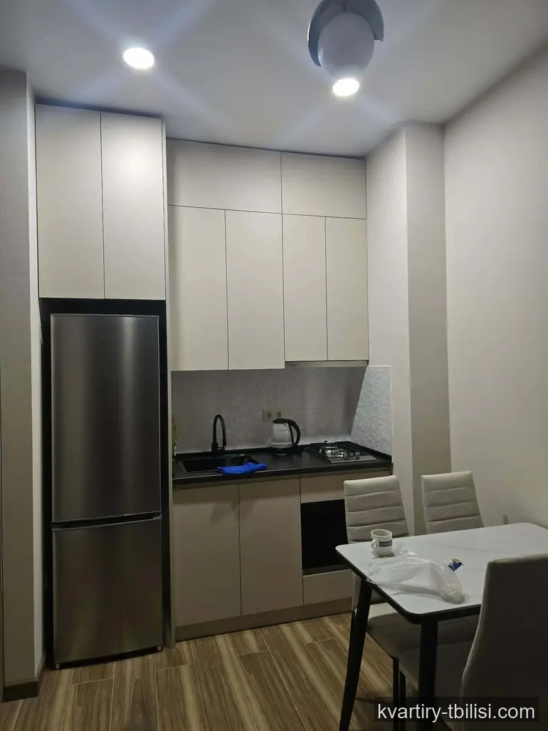 Двухкомнатная квартира в Диди Дигоми — 450 USD/мес | Tbilisi Homes