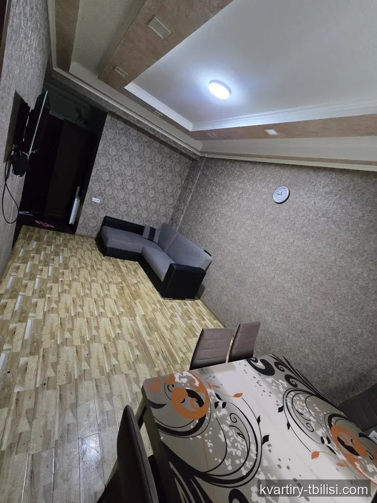 2-bedroom Apartment for rent in Didi Digomi, Tbilisi, 50 sqm, floor 2/9 — 500 USD/month | Tbilisi Homes