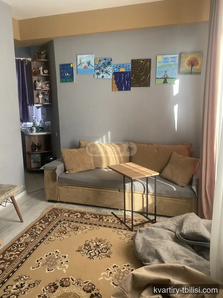 2-bedroom Apartment for rent in Didi Digomi, Tbilisi, 45 sqm, floor 13/14 — 422 USD/month | Tbilisi Homes