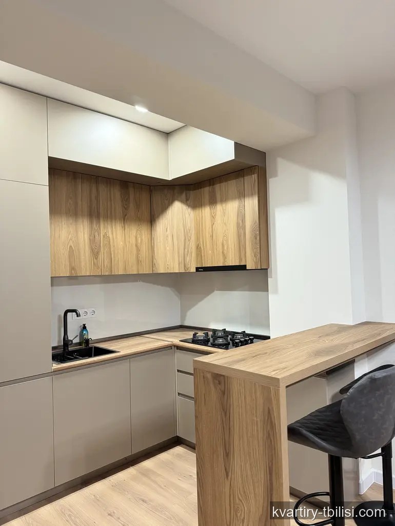 Двухкомнатная квартира в Диди Дигоми — 536 USD/мес | Tbilisi Homes