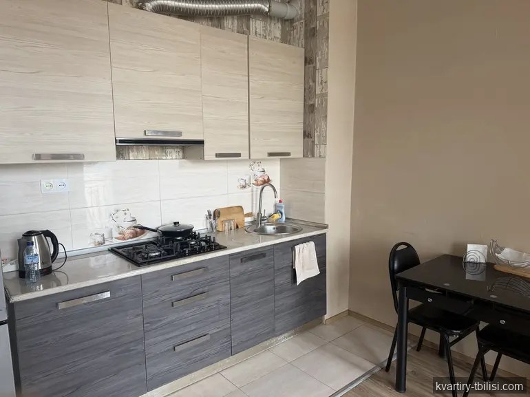 2-bedroom Apartment for rent in Didi Digomi, Tbilisi, 50 sqm, floor 7/9 — 400 USD/month | Tbilisi Homes
