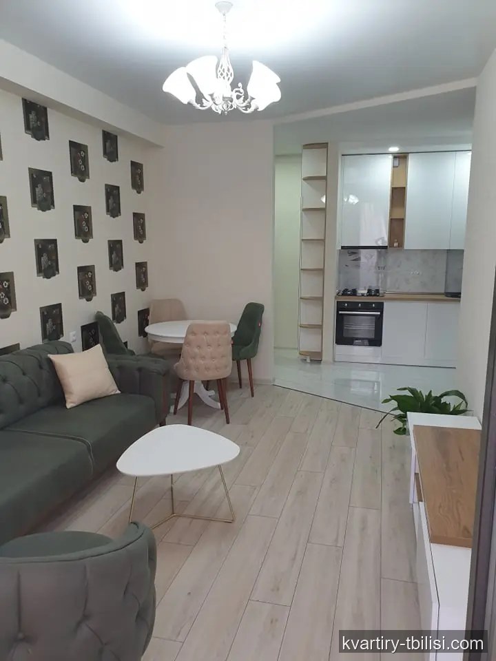 Двухкомнатная квартира в Диди Дигоми — 454 USD/мес | Tbilisi Homes