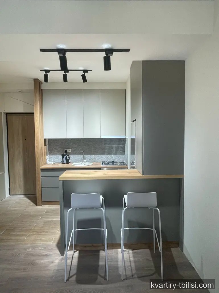 Двухкомнатная квартира в Дидубе — 650 USD/мес | Tbilisi Homes