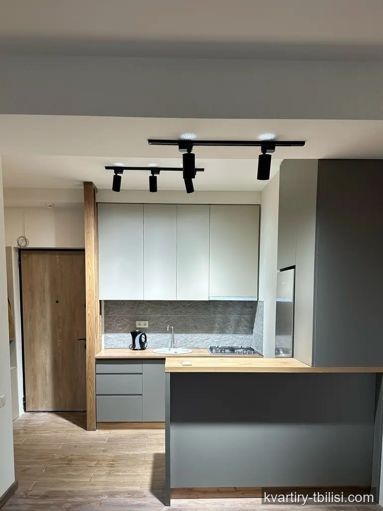 Двухкомнатная квартира в Дидубе — 650 USD/мес | Tbilisi Homes