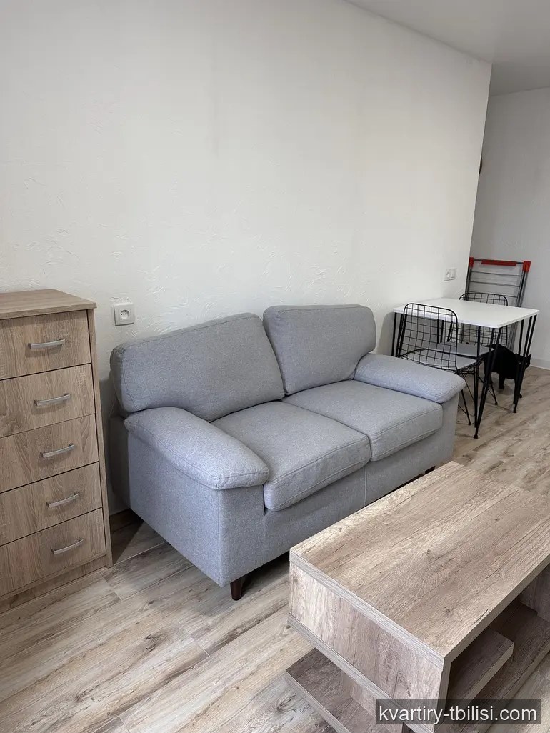 Двухкомнатная квартира в Дидубе — 550 USD/мес | Tbilisi Homes