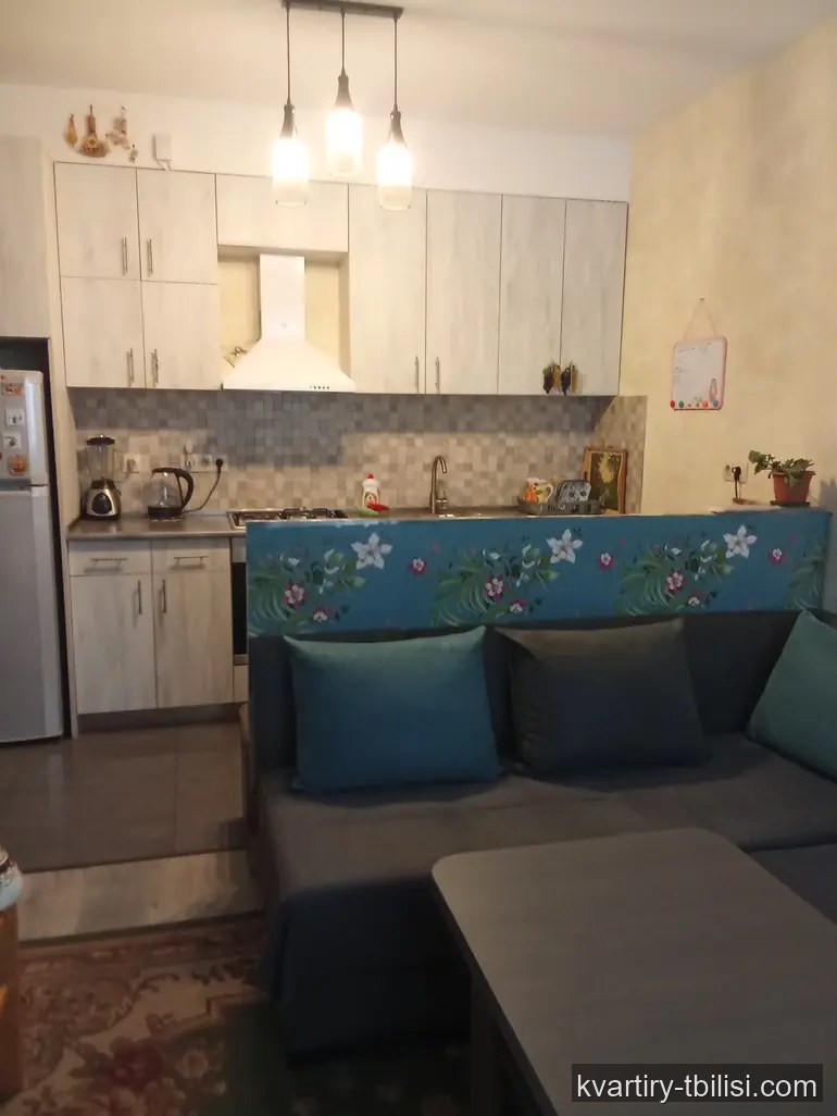 Двухкомнатная квартира в Дидубе — 500 USD/мес | Tbilisi Homes