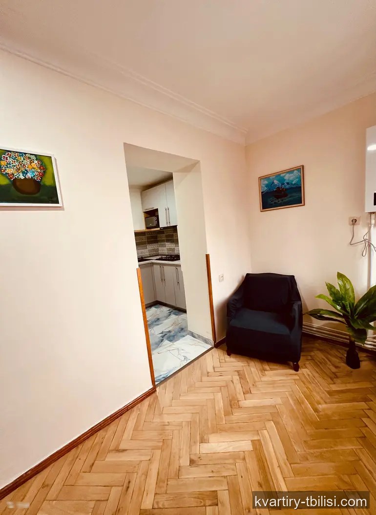 Трёхкомнатная квартира в Дидубе — 601 USD/мес | Tbilisi Homes
