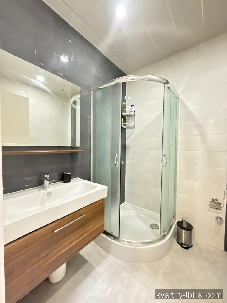 Двухкомнатная квартира в Дигоми 1-9 — 500 USD/мес | Tbilisi Homes