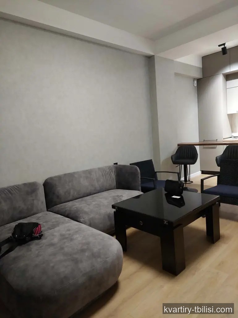Двухкомнатная квартира в Дигоми 1-9 — 500 USD/мес | Tbilisi Homes