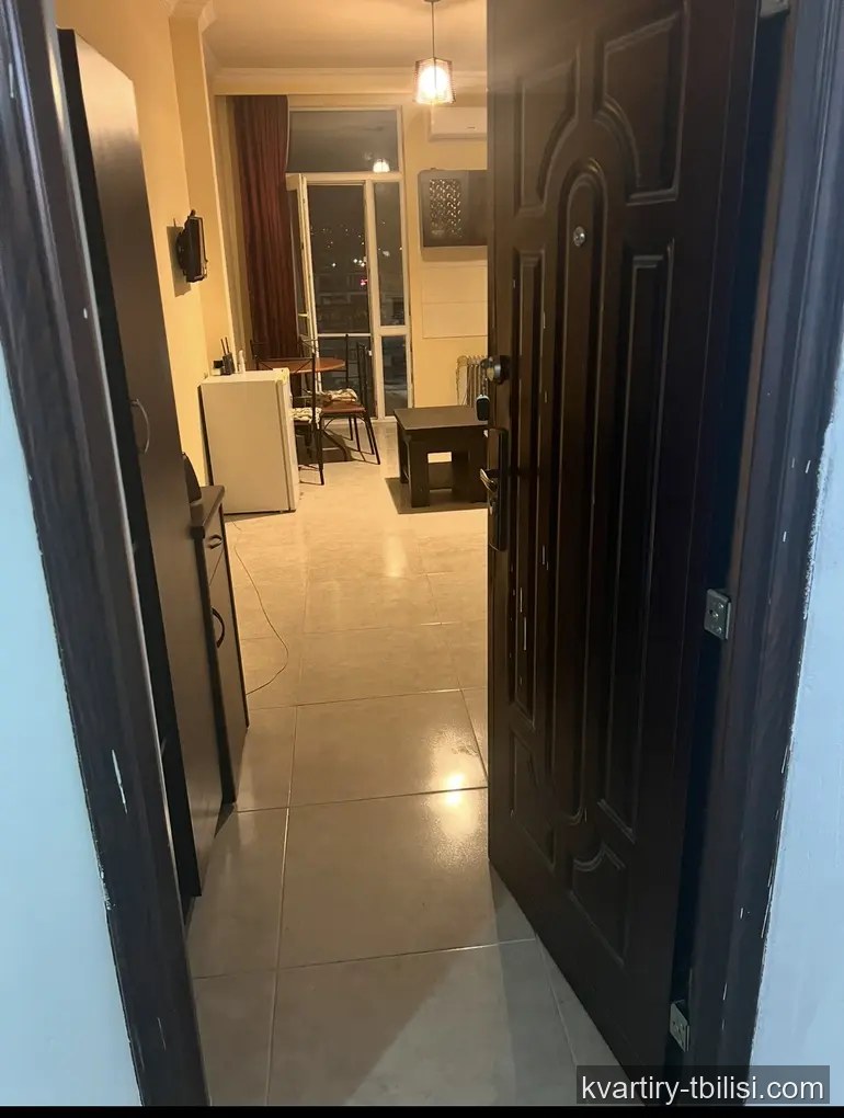 Однокомнатная квартира в Дигомском массиве — 459 USD/мес | Tbilisi Homes