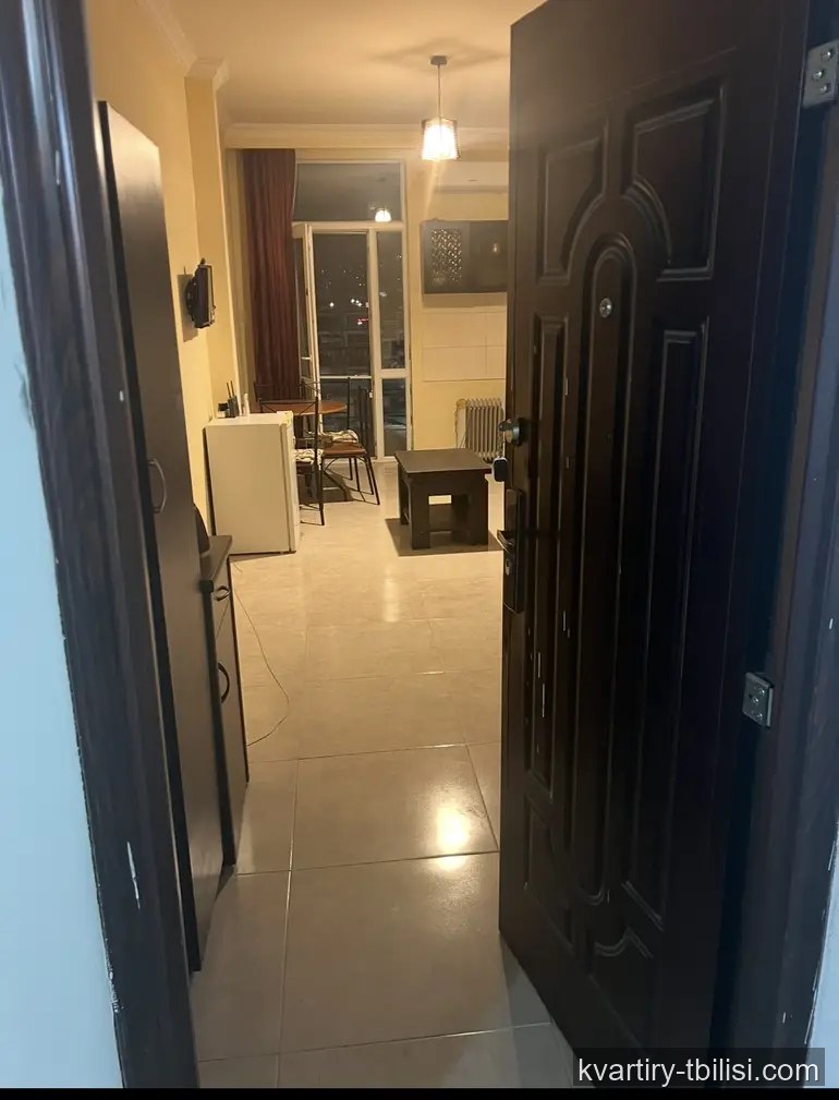 Однокомнатная квартира в Дигомском массиве — 459 USD/мес | Tbilisi Homes