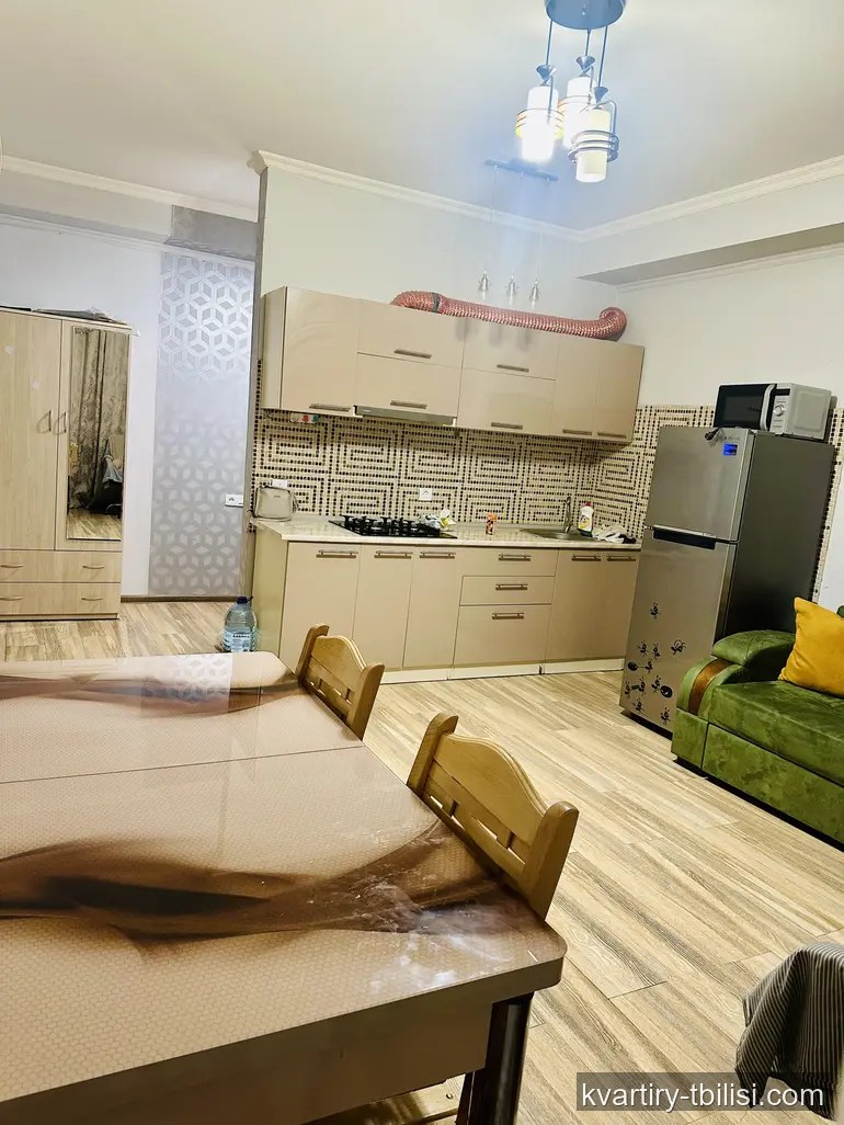 2-bedroom Apartment for rent in Digomi Massiv, Tbilisi, 48 sqm, floor 3/8 — 500 USD/month | Tbilisi Homes