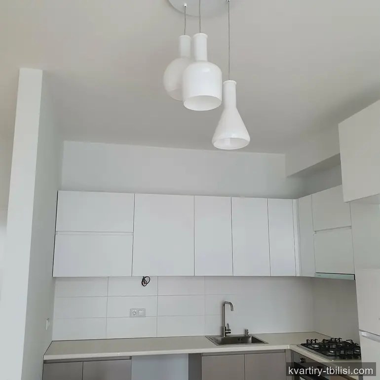 2-bedroom Apartment for rent in Digomi Massiv, Tbilisi, 48 sqm, floor 11/15 — 500 USD/month | Tbilisi Homes
