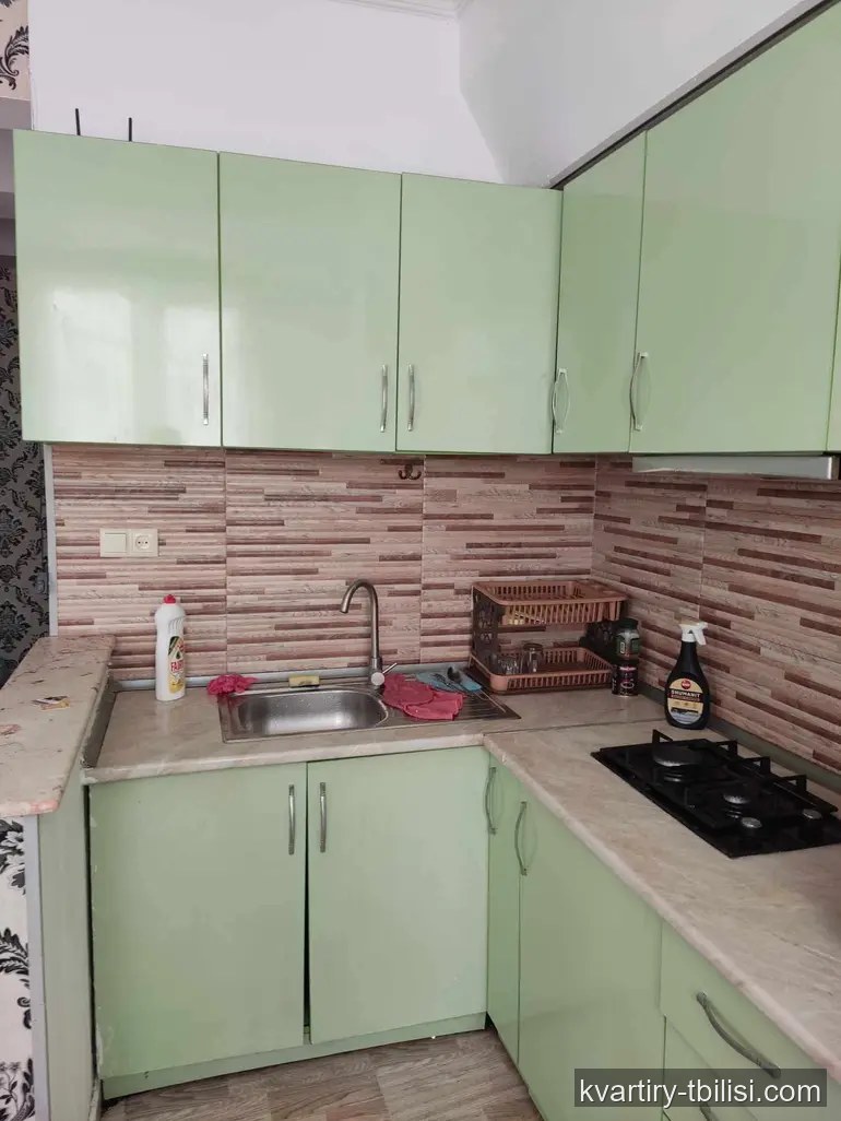 2-bedroom Apartment for rent in Digomi Massiv, Tbilisi, 55 sqm, floor 2/7 — 450 USD/month | Tbilisi Homes