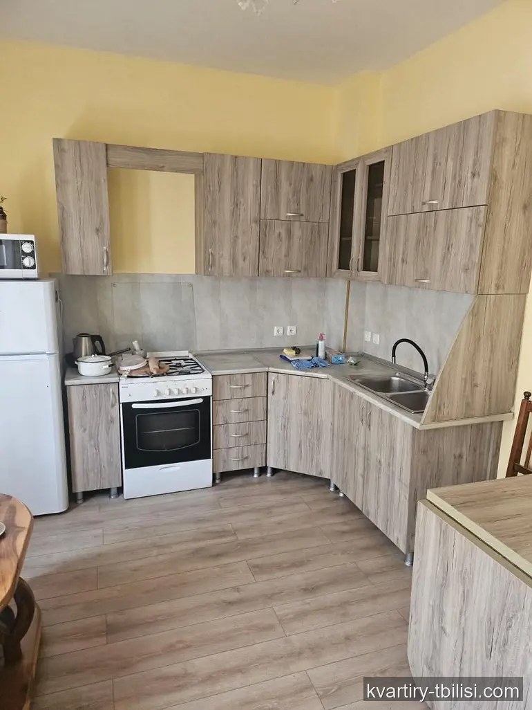 Двухкомнатная квартира в Дигомском массиве — 400 USD/мес | Tbilisi Homes