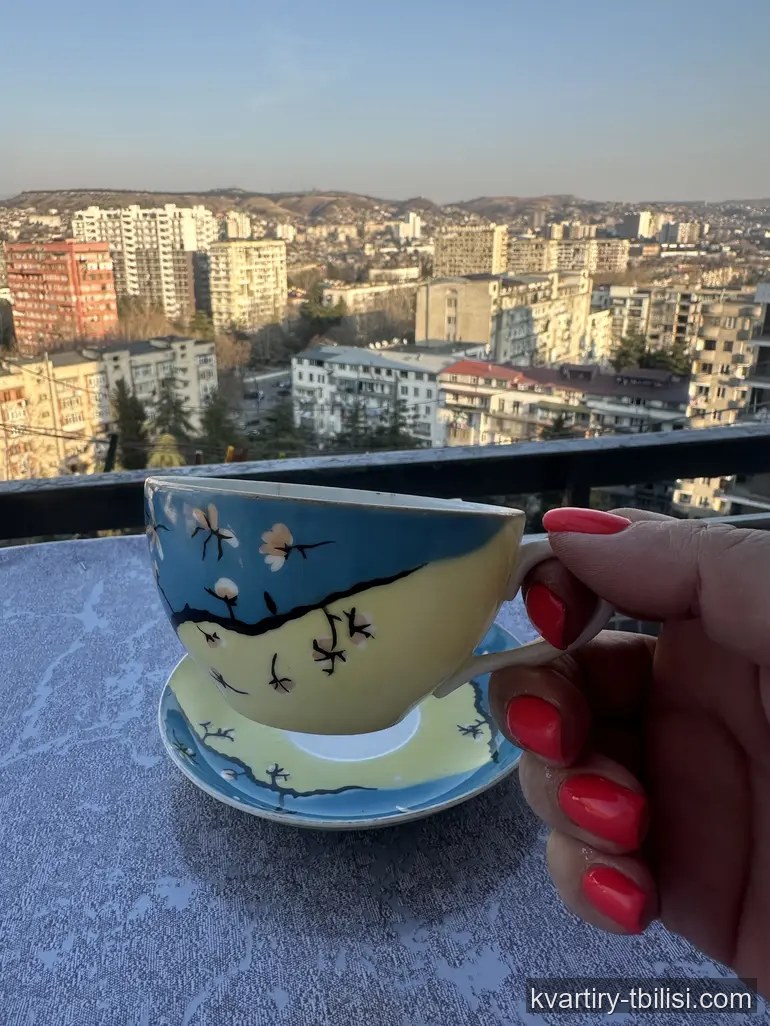 2-bedroom Apartment for rent in Digomi Massiv, Tbilisi, 67 sqm, floor 15/16 — 450 USD/month | Tbilisi Homes