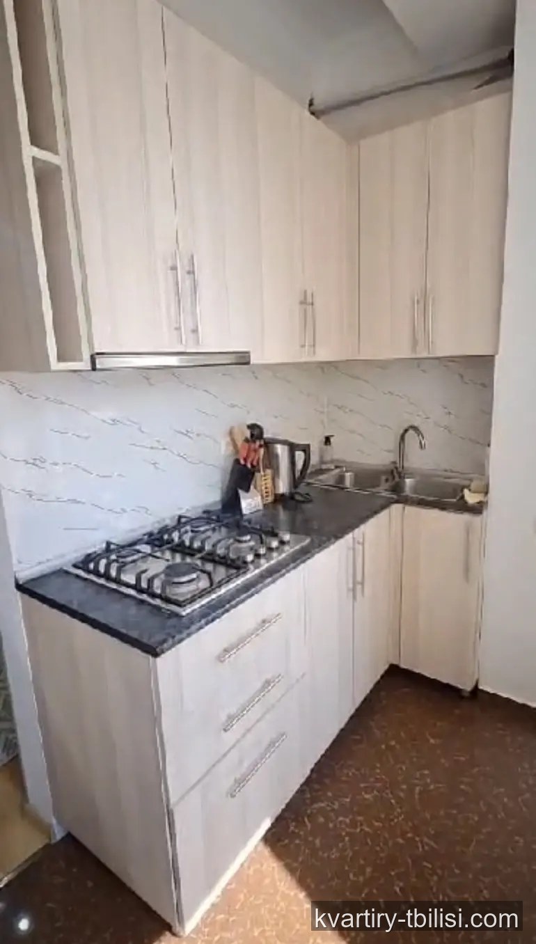 Двухкомнатная квартира в Глдани — 499 USD/мес | Tbilisi Homes