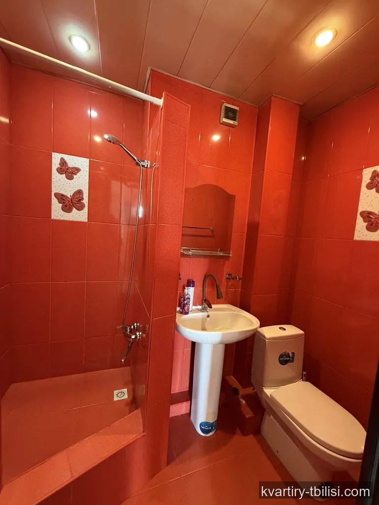 Однокомнатная квартира в Исани — 600 USD/мес | Tbilisi Homes