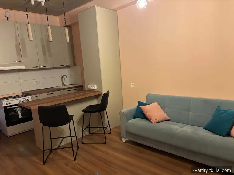 Двухкомнатная квартира в Крцаниси — 649 USD/мес | Tbilisi Homes