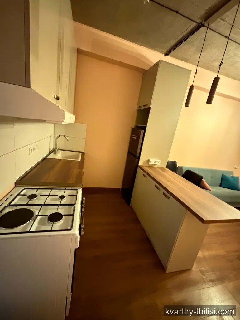 Двухкомнатная квартира в Крцаниси — 649 USD/мес | Tbilisi Homes