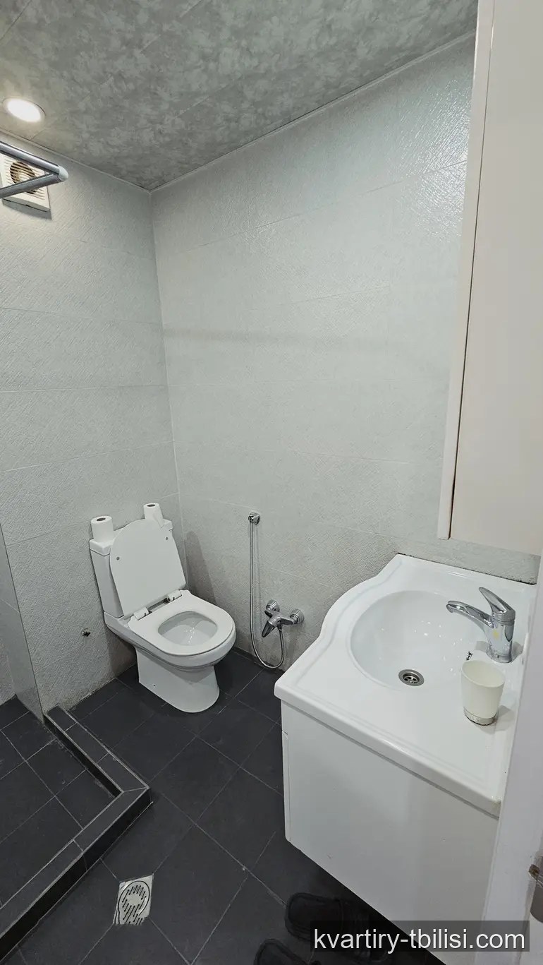 Трёхкомнатная квартира в Крцаниси — 750 USD/мес | Tbilisi Homes