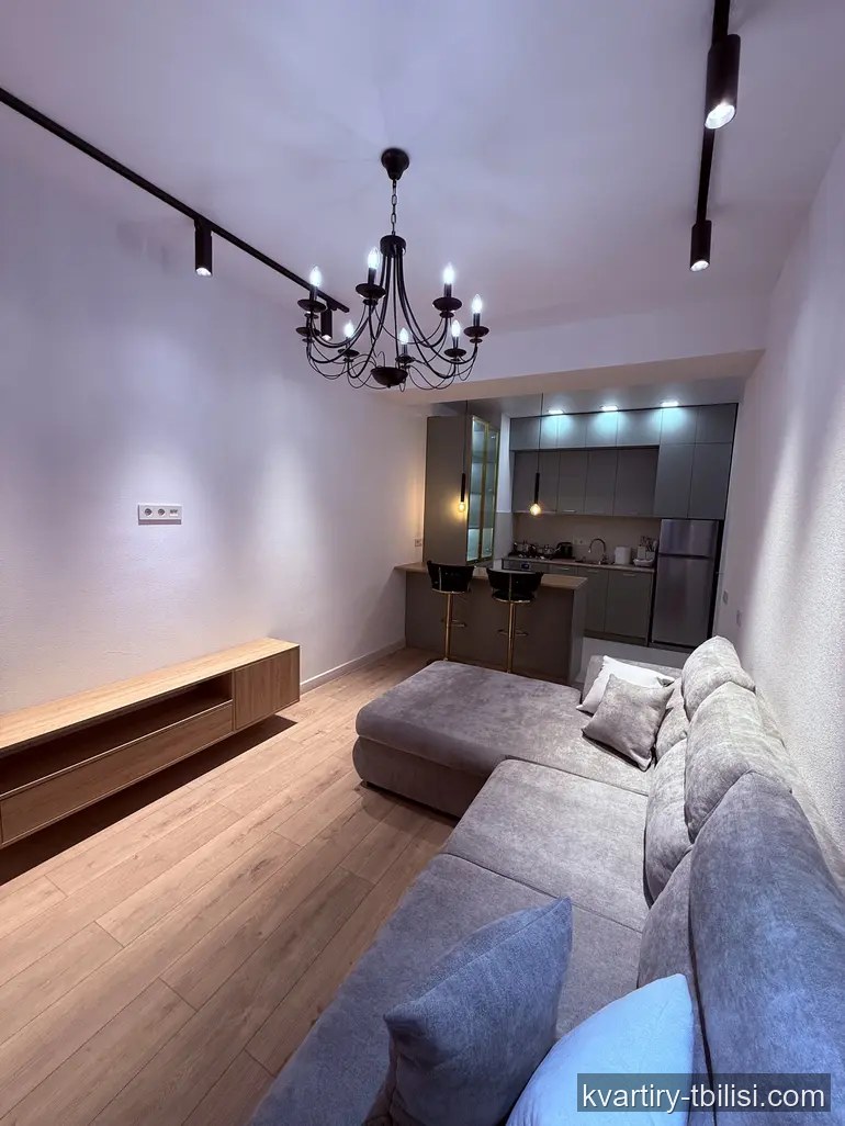 Двухкомнатная квартира в Кукиа — 650 USD/мес | Tbilisi Homes