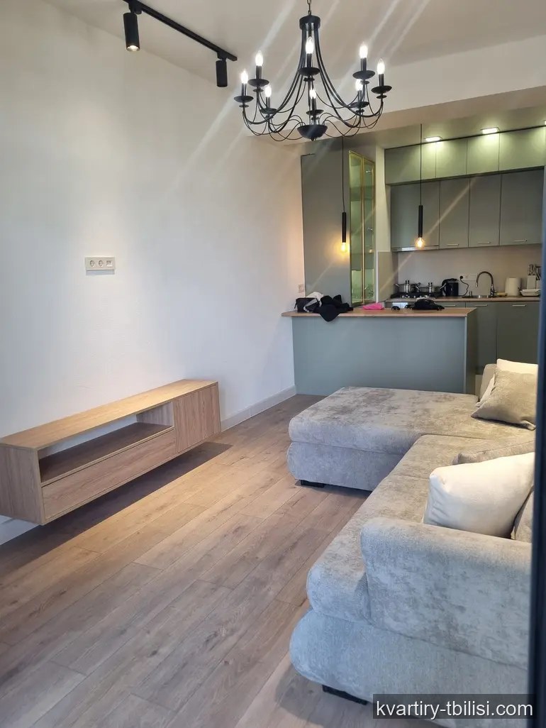 Двухкомнатная квартира в Кукиа — 650 USD/мес | Tbilisi Homes