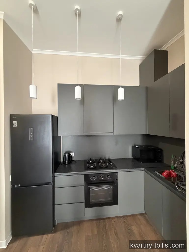 Двухкомнатная квартира на Московском проспекте — 550 USD/мес | Tbilisi Homes