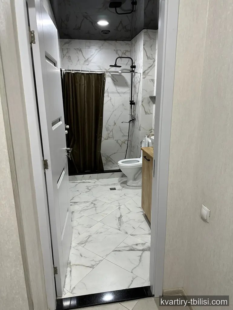 Двухкомнатная квартира на Московском проспекте — 418 USD/мес | Tbilisi Homes