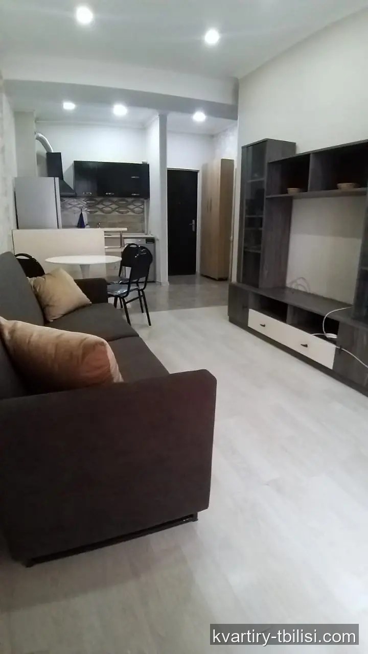 Двухкомнатная квартира на Московском проспекте — 421 USD/мес | Tbilisi Homes