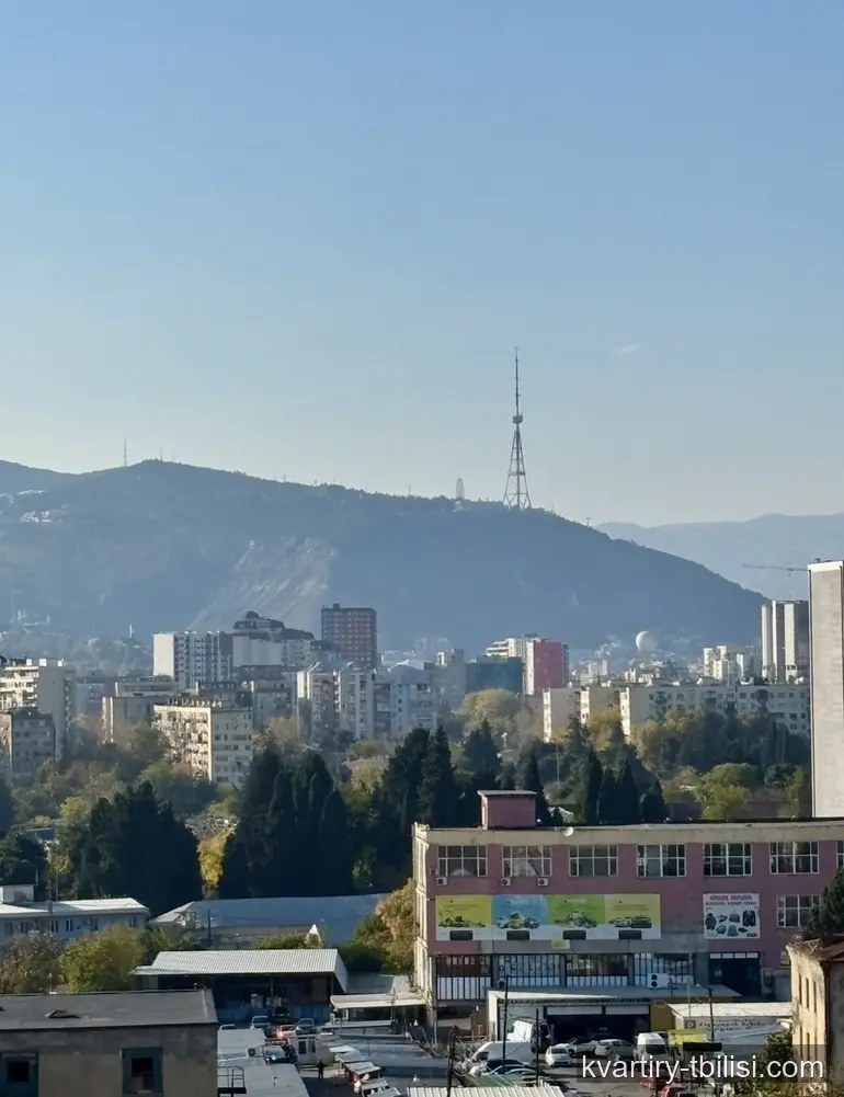 Двухкомнатная квартира на Московском проспекте — 550 USD/мес | Tbilisi Homes