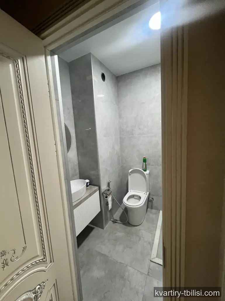 Трёхкомнатная квартира на Московском проспекте — 700 USD/мес | Tbilisi Homes