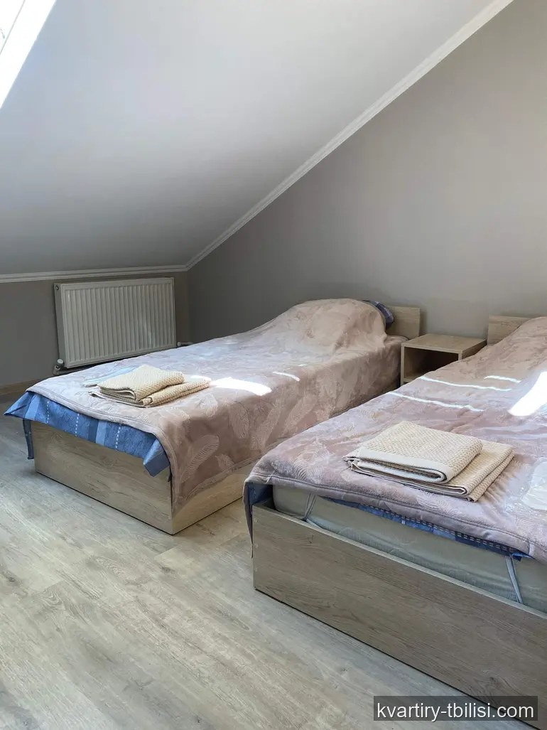2-bedroom Apartment for rent in Mtatsminda, Tbilisi, 40 sqm, floor 2/2 — 450 USD/month | Tbilisi Homes