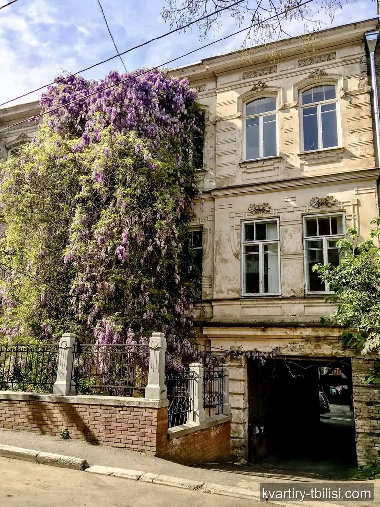 Двухкомнатная квартира на Мтацминде — 1 500 USD/мес | Tbilisi Homes