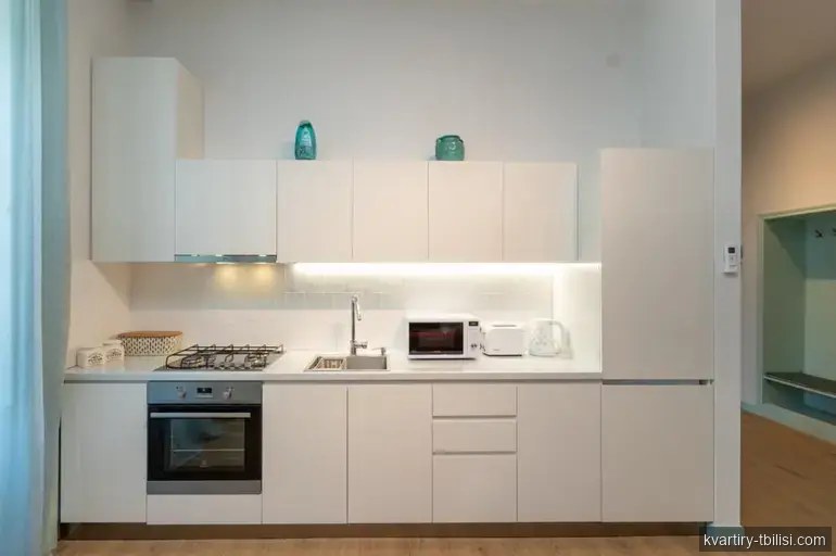 2-bedroom Apartment for rent in Mtatsminda, Tbilisi, 53 sqm, floor 1/1 — 1 100 USD/month | Tbilisi Homes