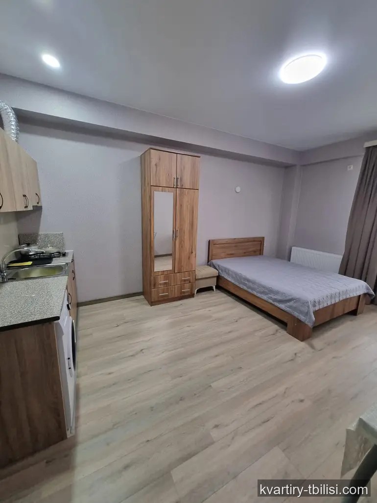 Однокомнатная квартира в Мухиани — 418 USD/мес | Tbilisi Homes