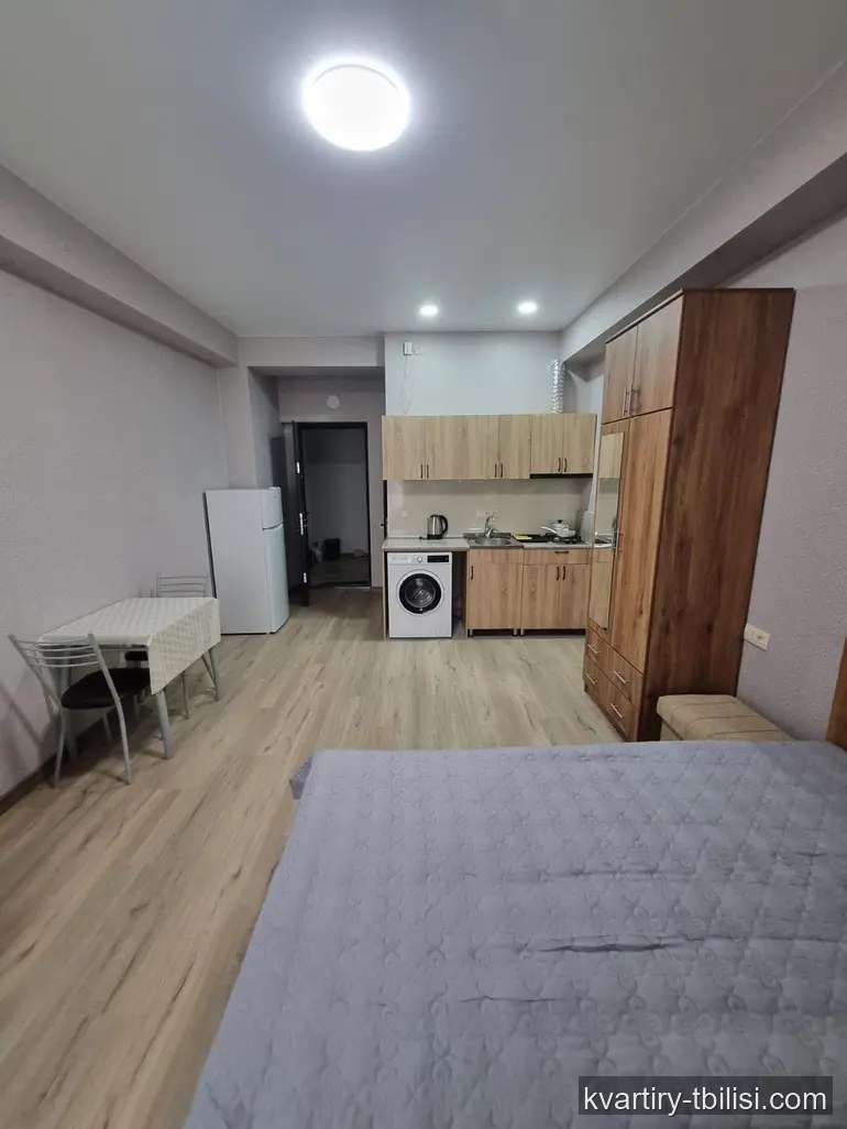 Однокомнатная квартира в Мухиани — 418 USD/мес | Tbilisi Homes